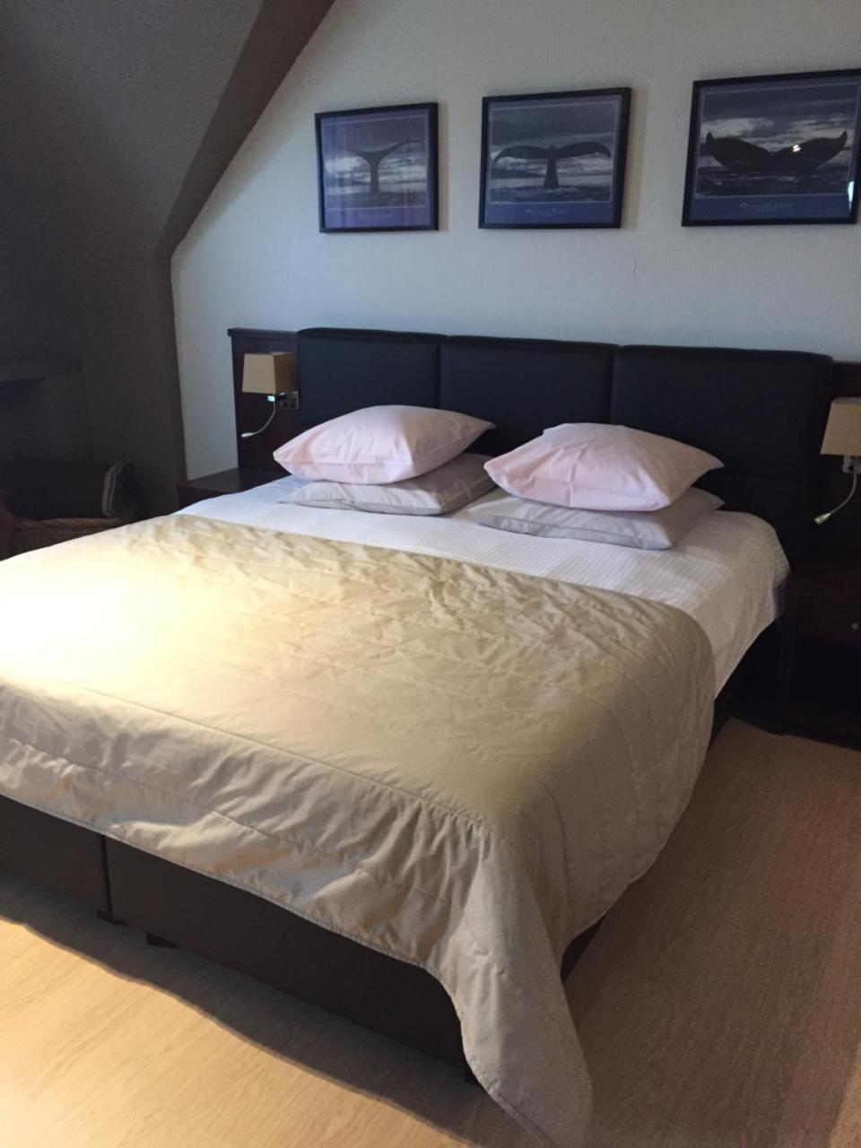 Hotel Prelude Knesselare Ngoại thất bức ảnh